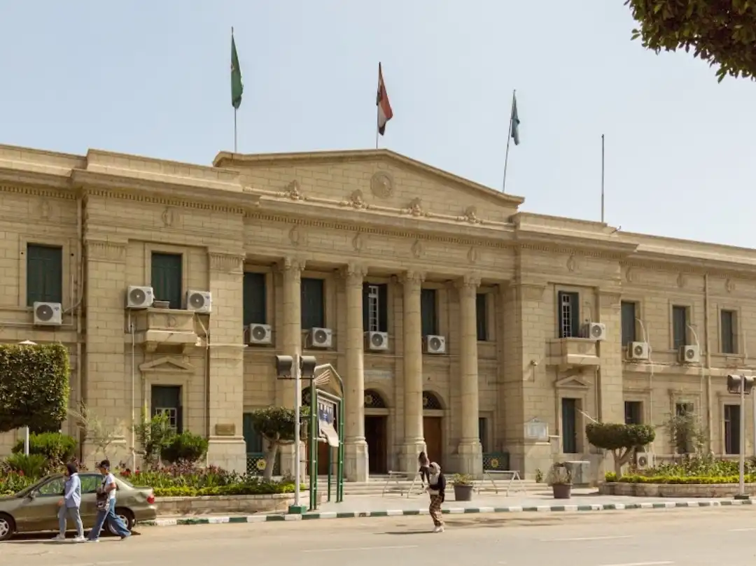 تجارة جورجيا جامعة القاهرة​